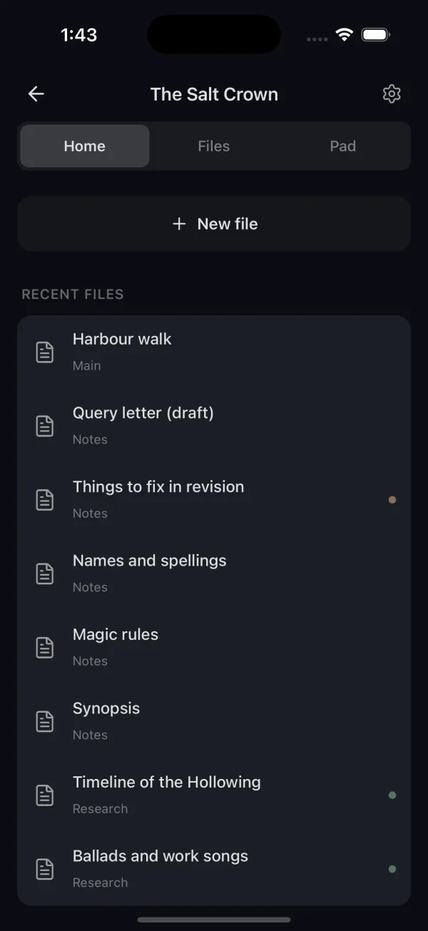 A project's Home tab with New file and recent files