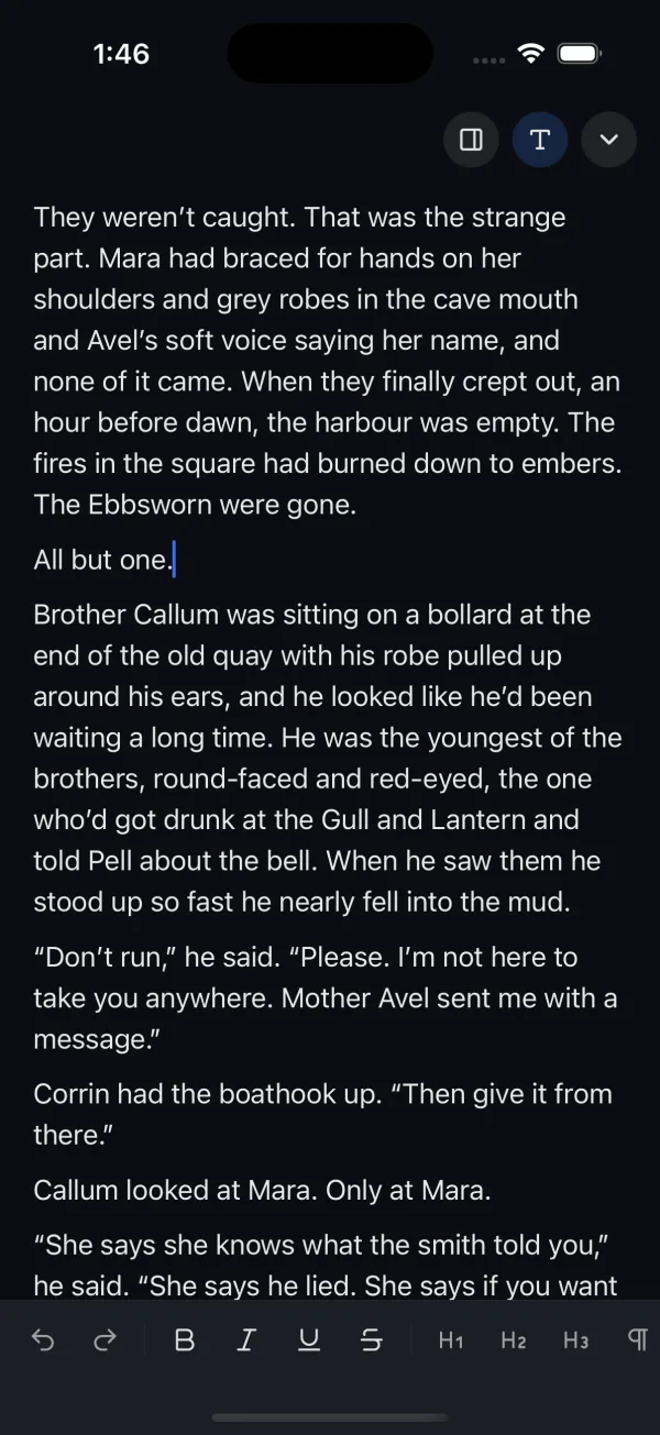 The formatting bar at the bottom of the screen while editing
